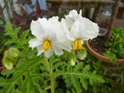 20130520 004 - Kopie.JPG