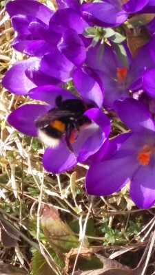 20150317_131158.jpg