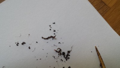 20150320_163118.jpg