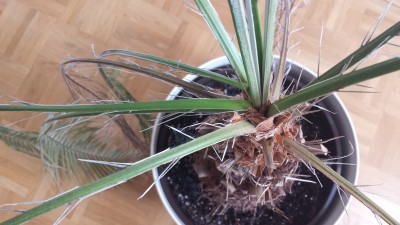 20150320_162108.jpg
