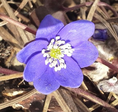 20150311_152243-1.jpg