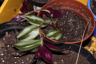 20150321_02.JPG