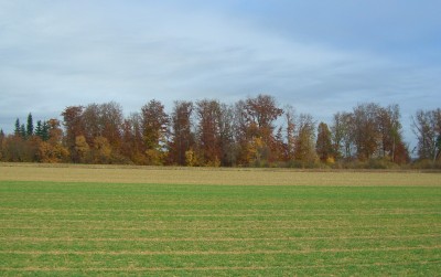 CIMG1731 - Kopie.JPG