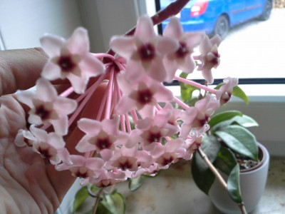 20150322_144102.jpg