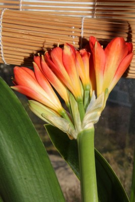 20150328_25.JPG