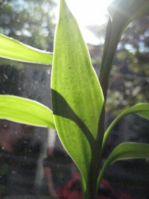 16.09.2007_23.JPG