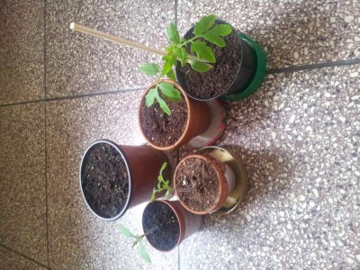 20150329_150223.jpg