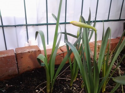 20150401_174335.jpg