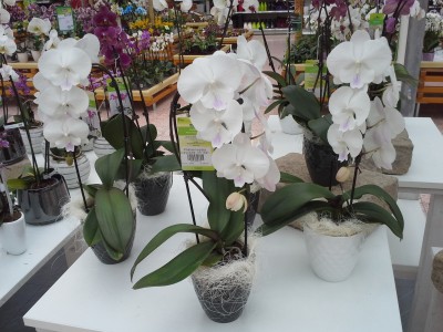 20150402_092254.jpg