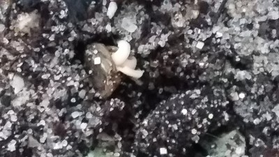 20150402_192426.jpg