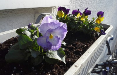 20150403_171327-1.jpg