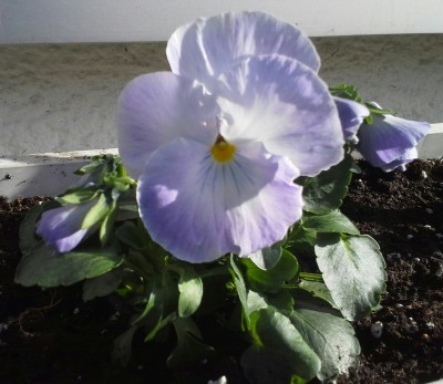 20150403_171319-1-1.jpg