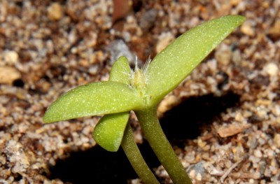 20150406_02.JPG