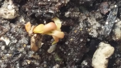 20150406_131007.jpg