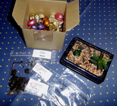 Bild 135.jpg