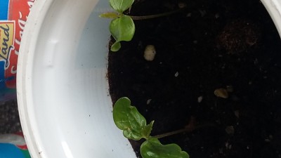 20150407_111939.jpg