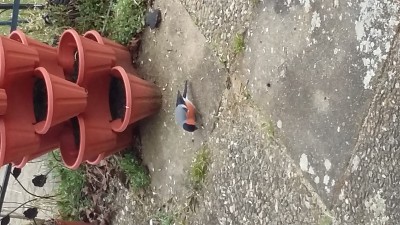 20150408_125905.jpg