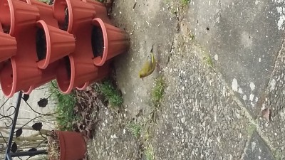 20150408_130159.jpg