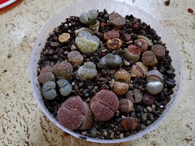20150325_151506.jpg