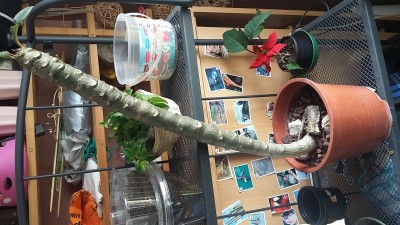20150409_125832.jpg