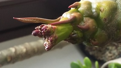 20150409_125554.jpg