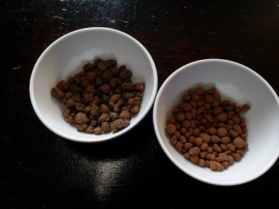 20150410_171127.jpg