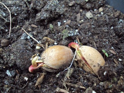 20150411 Überraschung_1.jpg