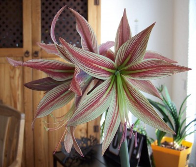 2015-04-09 001.jpg