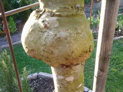 20150412_184051.jpg