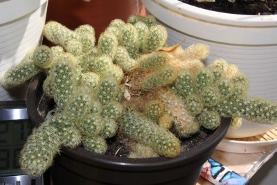 20150413_01.JPG
