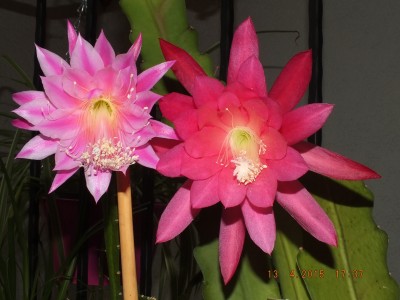DSCF8968.JPG