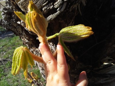 20150415_111419.jpg