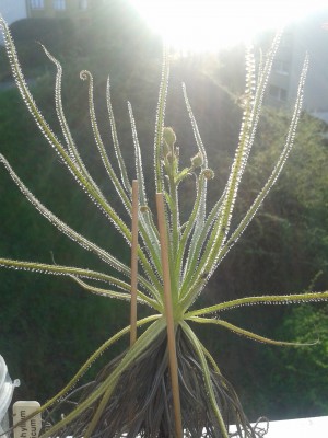20150414_190801.jpg