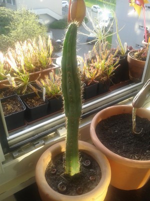 20150415_190820.jpg