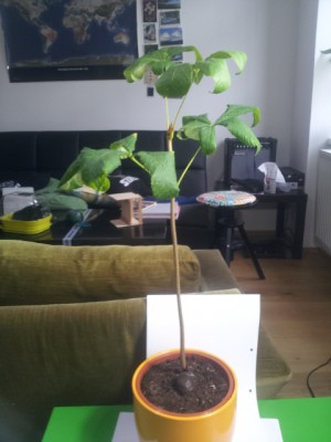 20150417_130606.jpg