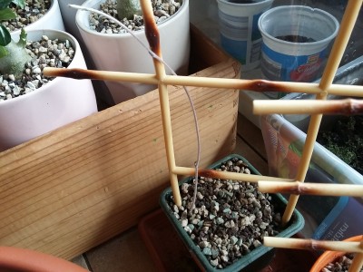 20150418_105329.jpg