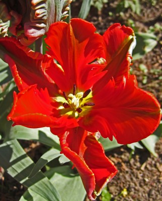 2015-04-20 15.54.01.jpg