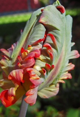 2015-04-20 15.54.44.jpg