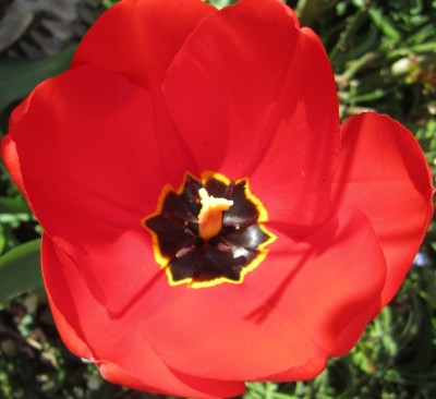 2015-04-20 15.38.36.jpg