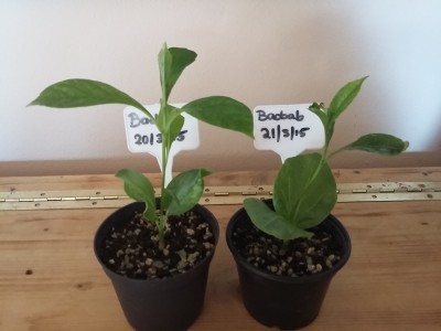 20150422_074549.jpg