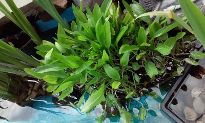 20150422_112435.jpg