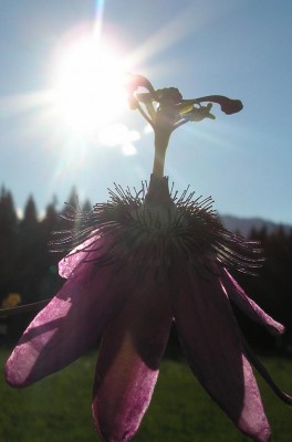 P1010717.JPG
