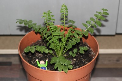Himmelsleiter am 23.04.2015.jpg
