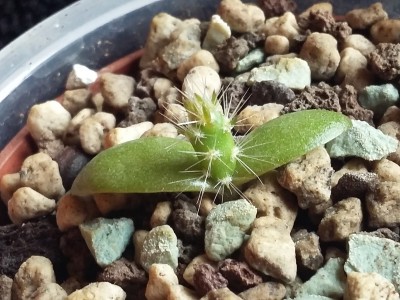 20150424_071036.jpg