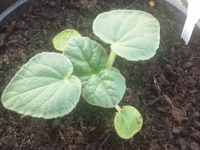 20150424_071608.jpg
