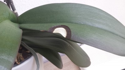 20150426_125529.jpg