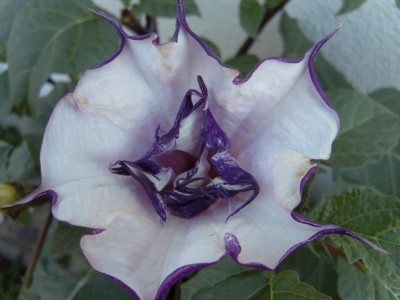 S1030041.JPG