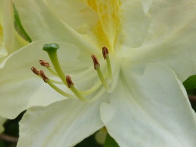 20120517 003 - Kopie.JPG