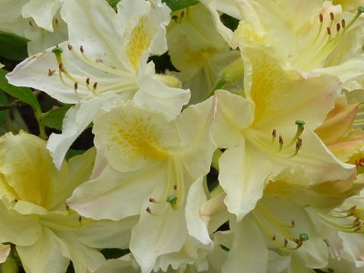 20120517 006 - Kopie.JPG