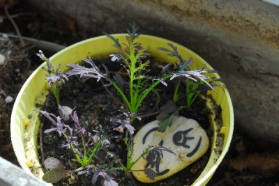 Frühling15 025pp.jpg